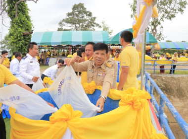 วันอาทิตย์ที่ 28 กรกฎาคม 2567 ... พารามิเตอร์รูปภาพ 1